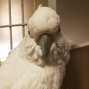 Meet your Posher, Maddie